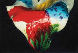497   -  Lote 497: NABUYOSHI ARAKI - Painting flower