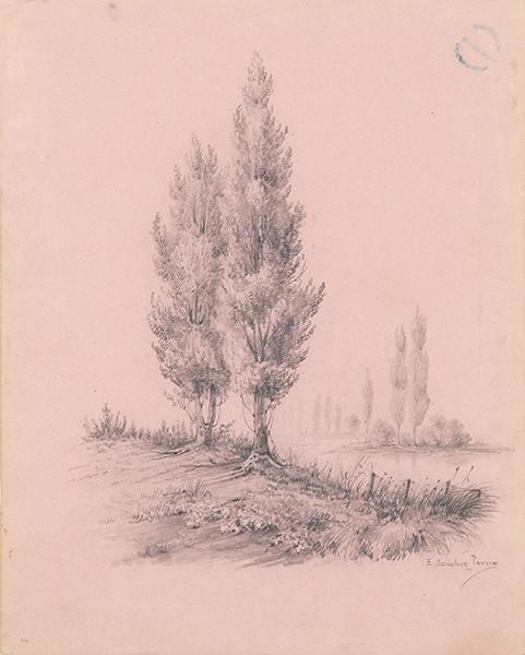  EMILIO SÁNCHEZ PERRIER - Álamos junto al río