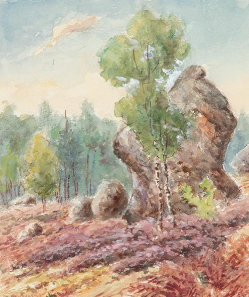  TOMÁS CAMPUZANO - Primavera en el campo