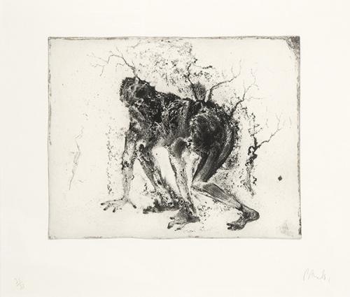  MIQUEL BARCELÓ - Lanzarote 11