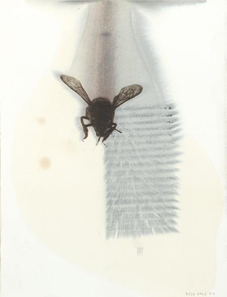  JOSÉ MARÍA SICILIA - Serie Sanlúcar de Barrameda 