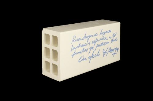  VICENTE DEL BOSQUE - Ladrillo