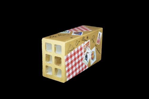  SAMANTHA VALLEJO-NÁGERA - Ladrillo