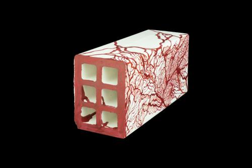  LUCÍA VALLEJO - Ladrillo