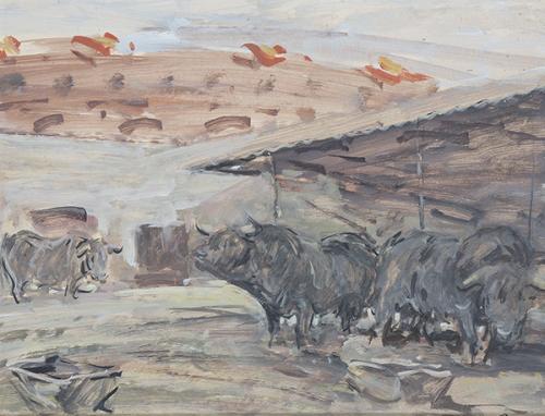  ÁNGEL GONZÁLEZ MARCOS - Toros