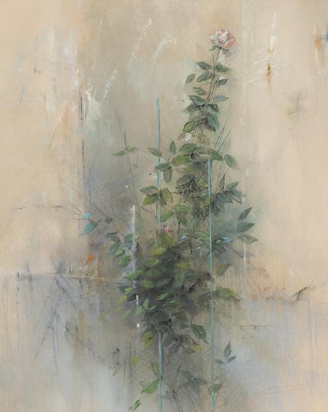  CARLOS MORAGO - Rosal