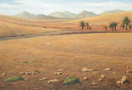  PEPE BIOT - Valle de Fuerteventura