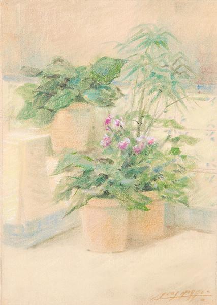  CARLOS MORAGO - Macetas