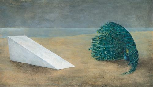  ALFONSO GALVÁN - Sin título. Pavo Real