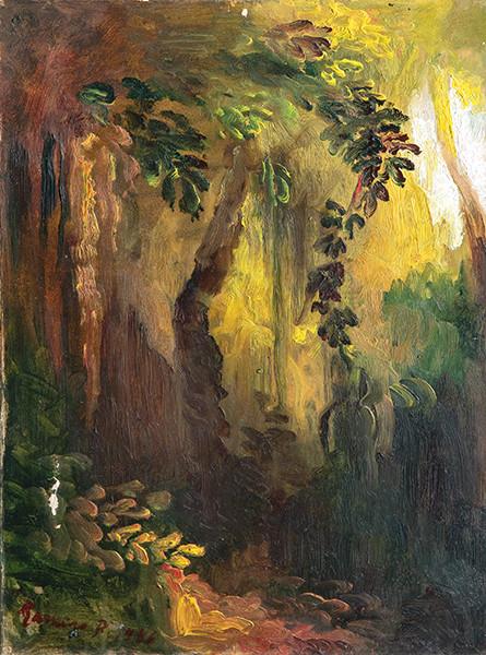  RAMIRO FERNANDEZ SAUS - Claro del bosque