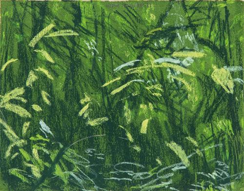  MARTA CARDENAS - Paisaje en verde