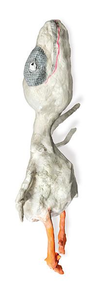  RAFA MACARRÓN - Ave