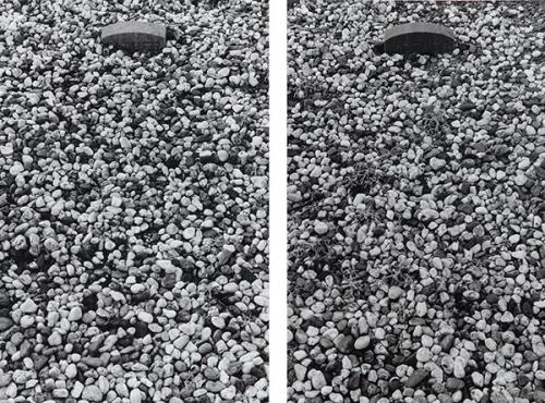  SOPHIE CALLE - Tumba Nº 17