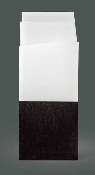  ELENA ASINS - Menhires