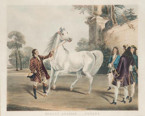 Lote 0149
JAMES R. MACKRELL - Darley Arabian - Roxana