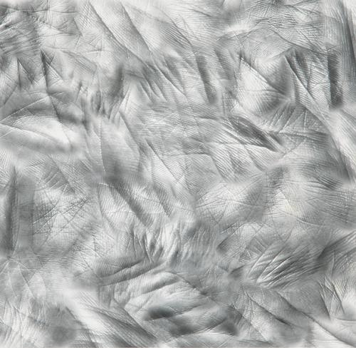 Lote 0429
DANIEL CANOGAR - Life lines