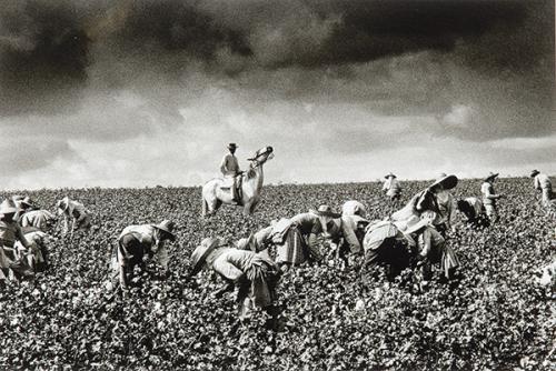 Lote 0443
RAMÓN MASATS - Lebrija