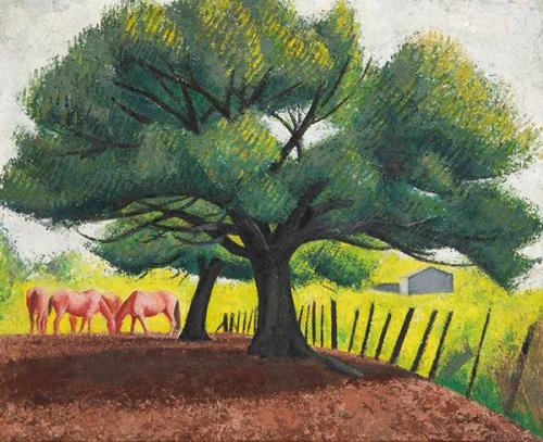  MIQUEL VILLÁ - Tucumán