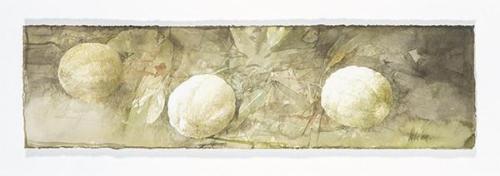  PEDRO CANO - Calabazas