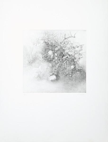 MARÍA MORENO - Jardín