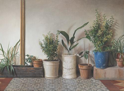 GUILLERMO MUÑOZ VERA - Patio con plantas