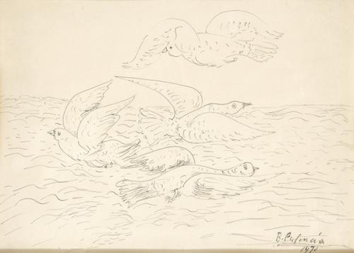 BENJAMÍN PALENCIA - Gaviotas