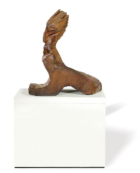  FRANCISCO LEIRO - La mujer de los pelos sueltos