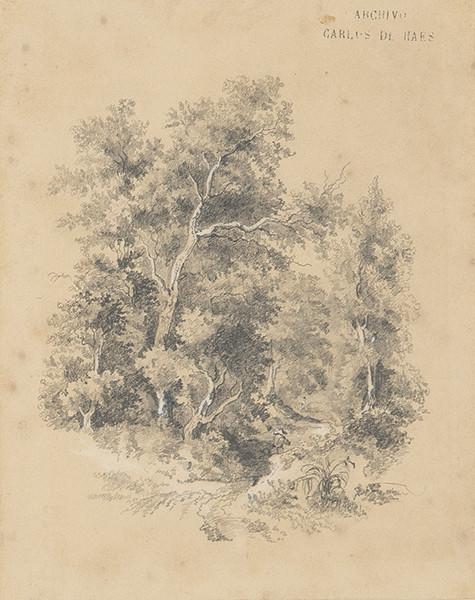 CARLOS DE HAES - Bosque