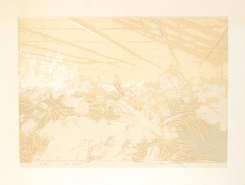  FERNANDO ZÓBEL - El Vivero