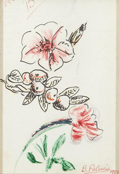  BENJAMÍN PALENCIA - Flores