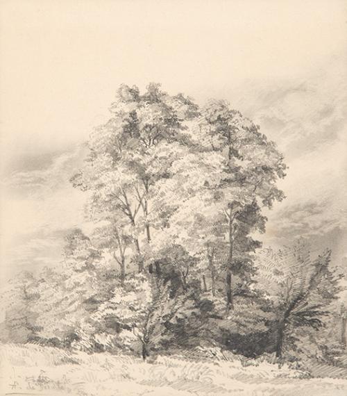 AURELIANO DE BERUETE - Árboles