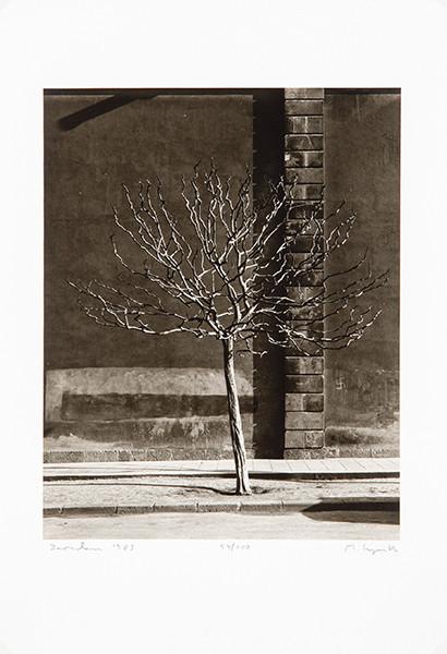  MANUEL LAGUILLO - Sin título