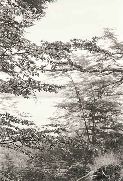 FERNANDO MAQUIEIRA - Parque Nacional Los glaciares. Ruta 40 ( Serie Salinas Grandes)