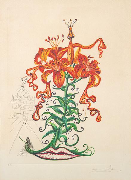 SALVADOR DALÍ - Lilium Aurancacium et Labra Barocantia (Flores Surrealistas)