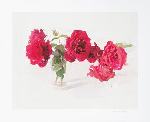  ANTONIO LÓPEZ - Rosas Rojas