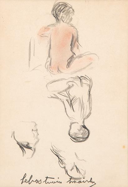  SEBASTIAN MIRANDA - Estudio de niños