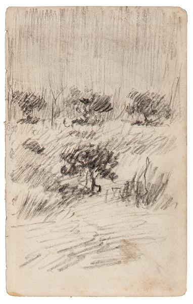 DARIO DE REGOYOS - Paisaje y texto