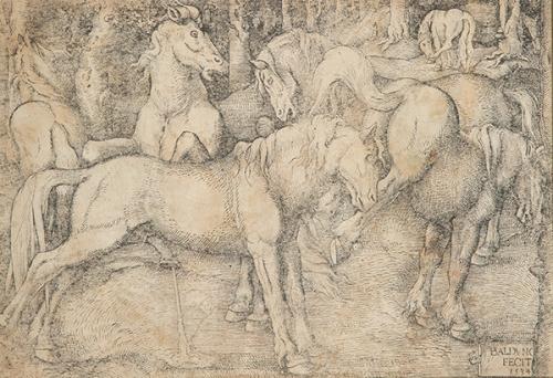 HANS BALDUNG - Grupo de seis caballos salvajes