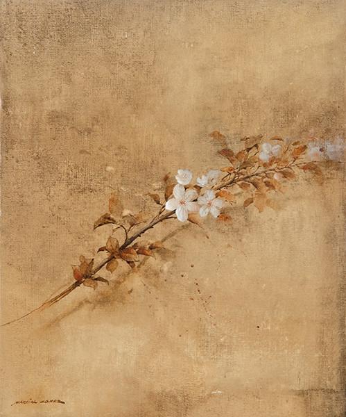 MARCIAL GÓMEZ PAREJA - Rama de almendro