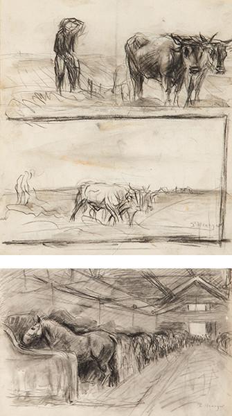 PABLO URANGA - Bueyes y caballerizas