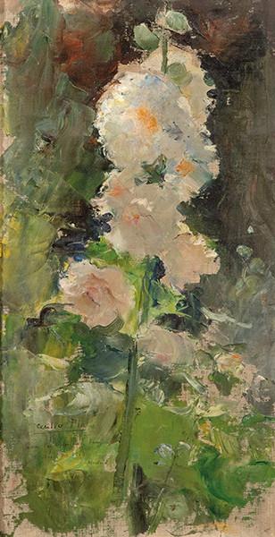 CECILIO PLA Y GALLARDO - Estudio de Espuela de Caballero