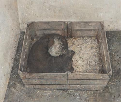 FLORENCIO GALINDO - Perro durmiendo