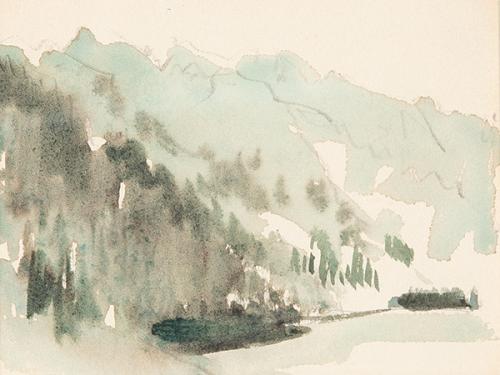 WERNER SCHMIDT - Ladera de montaña. Fiordo