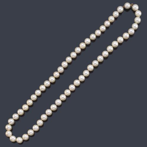 Collar con un hilo de perlas de aprox. 8,57 - 8,94 mm con cierre de presión en oro amarillo de 18K.