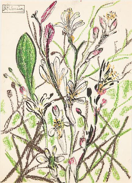  BENJAMÍN PALENCIA - En flor