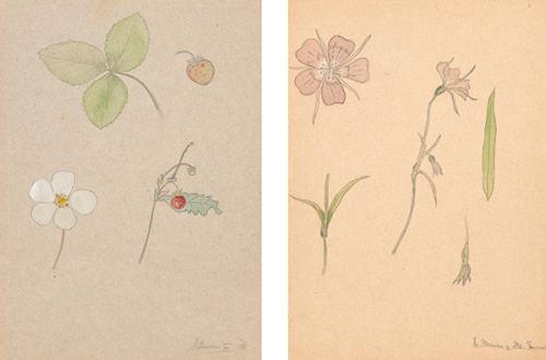  JUGENDSTIL - Diseños para telas