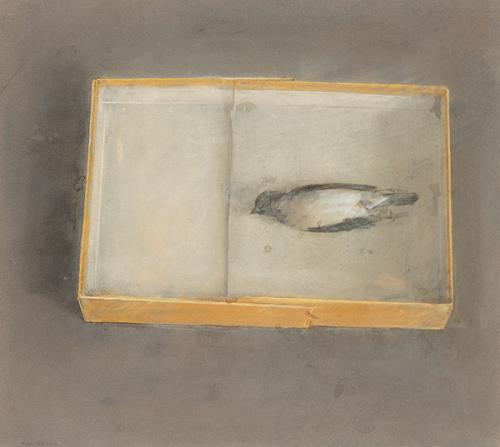 FLORENCIO GALINDO - Gorrión