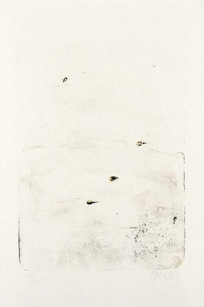  MIQUEL BARCELÓ - Sekou IV