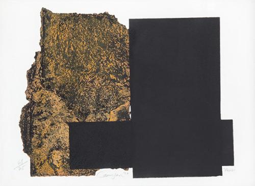 RAFAEL CANOGAR - Fósil