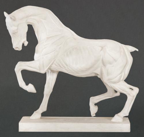 "Caballo" en escayola.